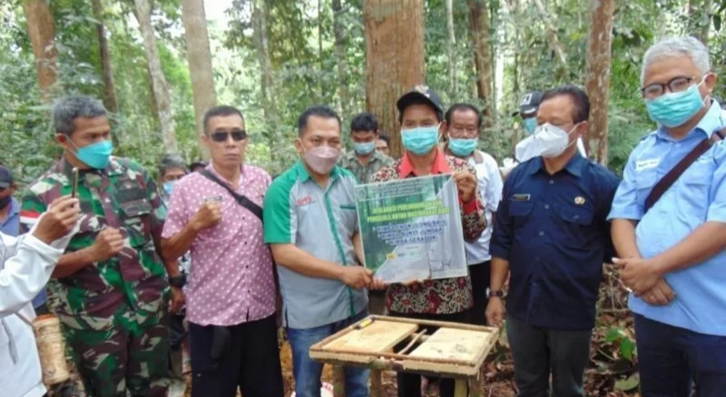 Petani Sawit-Swasta Bersama Pemerintah Deklarasi Perlindungan Hutan Stok Karbon Tinggi