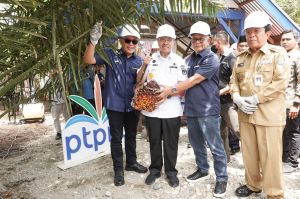 Gubri Panen Perdana Sawit Plasma KUD Makarti Jaya Rohul