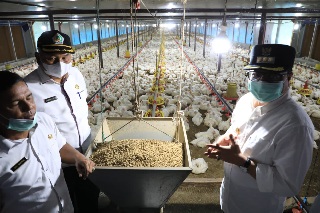 2 BUMG Raih KeuntunganBesar Pj Bupati Aceh Utara Puji Integrated Farming