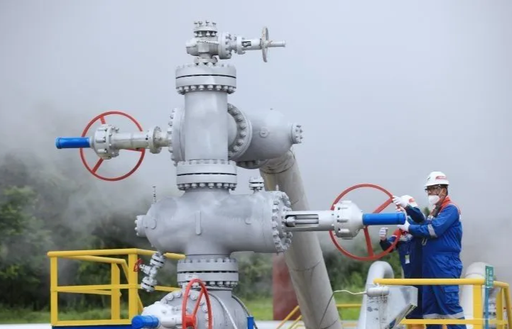 PGE Target Tingkatkan Kapasitas terpasang Energi Panas Bumi jadi 1.540 MW di 2030