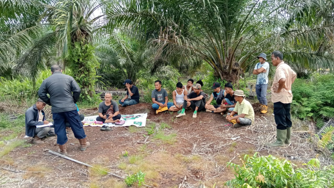 Tegas, Koperasi BBDM Pastikan Pengelolaan Kebun Plasma Sah Legalitas dan Bantah Tudingan Menyesatkan