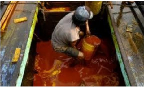 Lah, Turun Rp 69 Harga CPO Tender KPBN Periode 16 Februari 2024