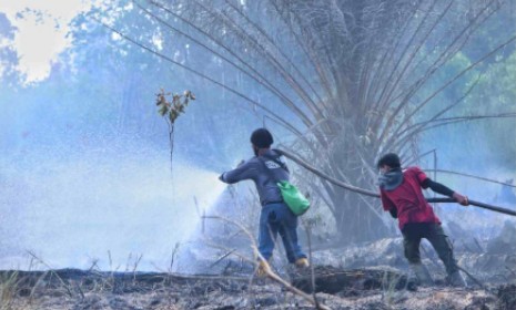 Kebakaran Hebat Hanguskan 10 Hektare Hutan Giam Siak Kecil