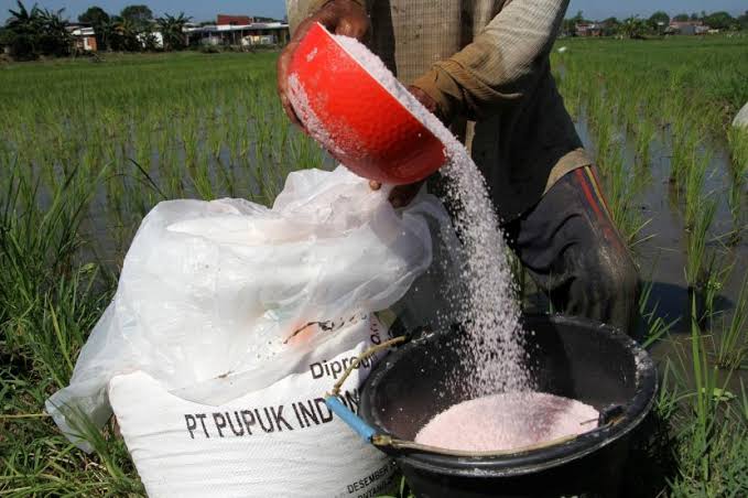 Pemerintah Siapkan Subsidi Rp25 T untuk Pupuk