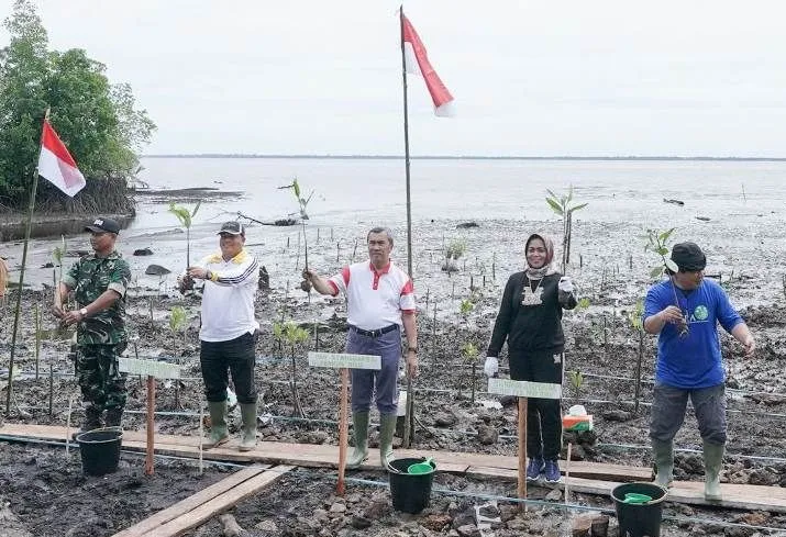 Hari Gambut Sedunia, Gubernur Riau Tanam 200.000 Bibit Mangrove