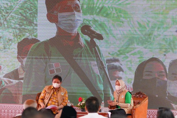 Harga Sawit Naik, Petani : Terima Kasih Atas Kebijakan Pemerintah