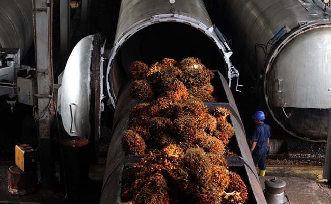 Harga TBS Sawit Riau Mulai Naik Lagi