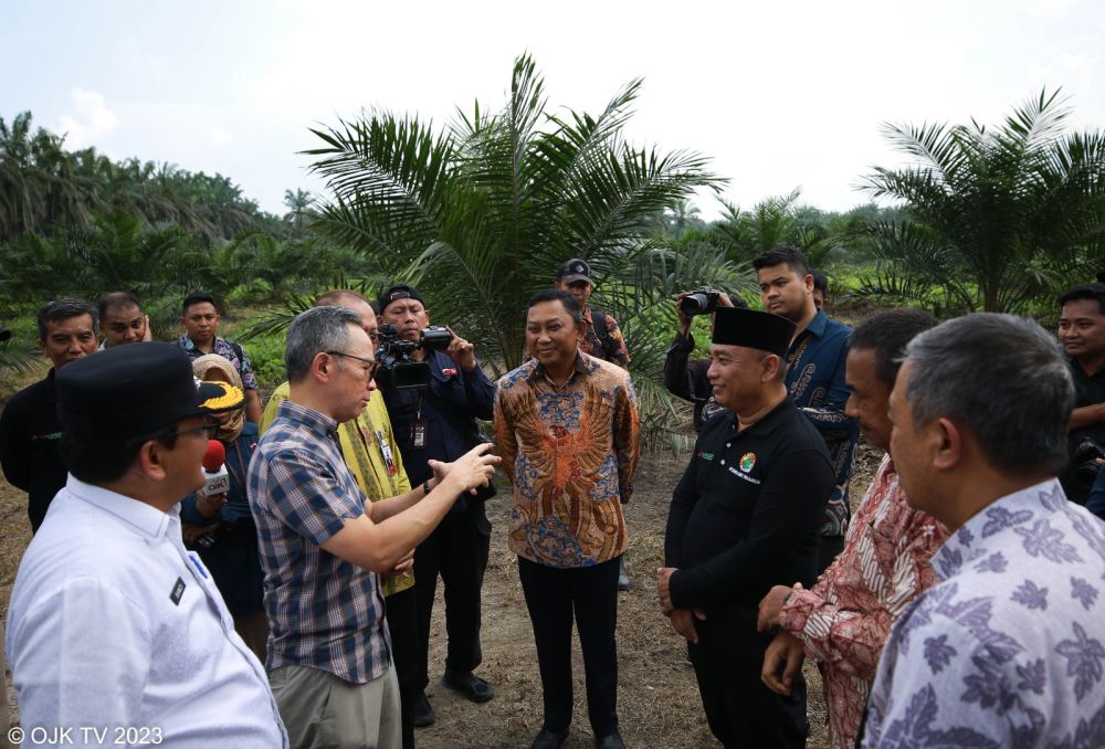 OJK Dorong Peningkatan Akses Pendanaan Bagi Petani Sawit di Riau