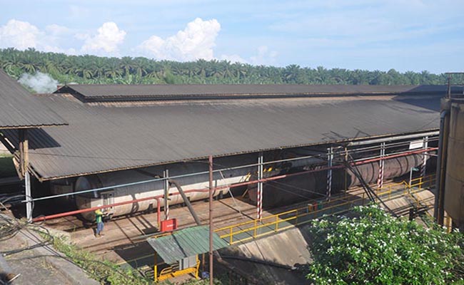 Pabrik Sawit Tanpa Kebun, Bukan Solusi Atasi Minyak Goreng dan Harga TBS Sawit
