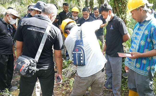 Petani Sawit Mampu Kelola Gambut dengan Prinsip Berkelanjutan