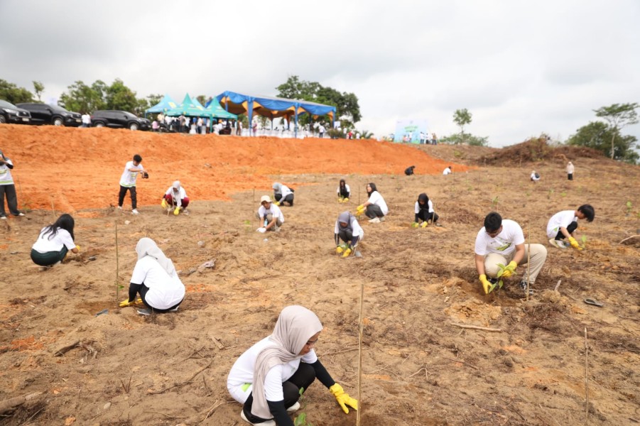 PLN Tanam 8.000 Pohon Produktif di Riau, Dorong Lingkungan Lebih Hijau dan Berkelanjutan