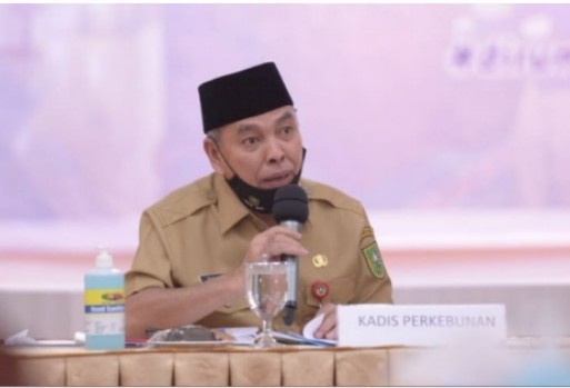 Kadis Perkebunan Riau Sebut Syarat Bebas Lahan Gambut pada Program PSR Sudah Dicabut