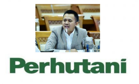 Jangan Jual Kayu dan Karet Saja