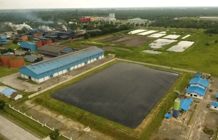 Olah Limbah Sawit untuk Pakan Ternak, Riau Undang Investor Mesir