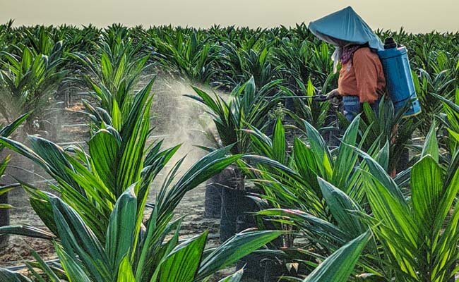 Supaya Kualitas Aplikasi Penyemprotan Pestisida Maksimal