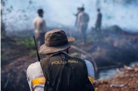 Polisi Selidiki Kebakaran Lahan di Payung Sekaki