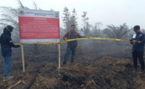 Terbakar, Ribuan Hektar Lahan Perusahaan Disegel KLHK