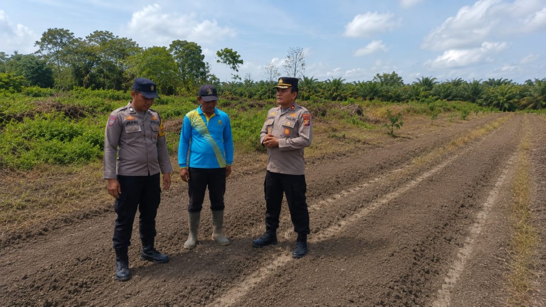 Kapolsek Rengat Barat Cek Pertumbuhan Jagung Pipil Kelompok Tani Matador