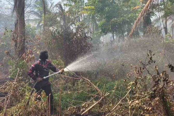 Dampak Cuaca Panas, Bengkalis Dilanda Kebakaran Lahan