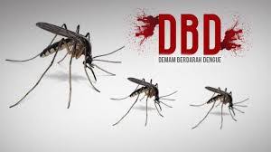 Kasus DBD Riau Capai 1.932 Orang, Diskes Ingatkan Pentingnya Kader Jumantik