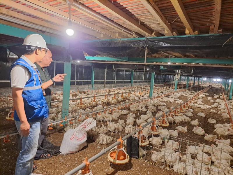 Sepanjang 2025, Tarif Listrik Tetap Terjangkau Berkat Komitmen Pemerintah dan PLN