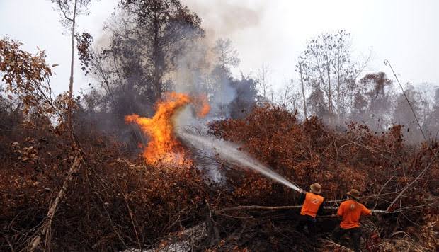 Cegah Karhutla, Pemprov Riau Harap Ada TMC Lanjutan